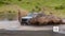2026 Nissan Frontier LE TM