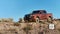 2026 Nissan Frontier PLATINUM LE DIESEL 4X4 TA