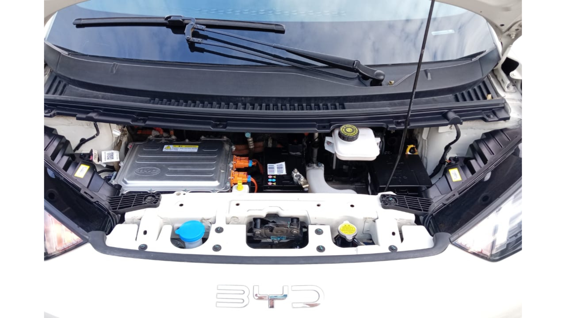 2025 BYD Dolphin Mini 380 Km Hb Mini Plus Hev At